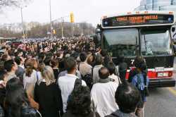 ttc