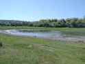 IMG_20250504_105628872 (1)
