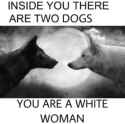 inside-you-there-are-two-dogs-1828394056