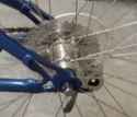 biek
