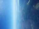 IMG_20240219_135852