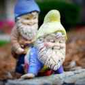 sodomitic garden gnome