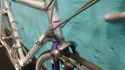 20210421_103125-scaled
