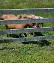 1.64 MB