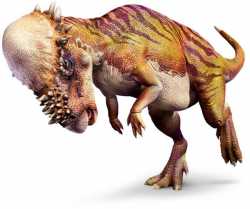 Pachycephalosaurus-600x503