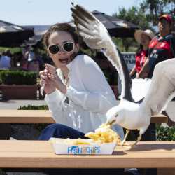 0_The-Mirrors-Amy-Clare-Martin-has-her-Fish-and-Chips-attacked-by-Seagulls-in-Clacton-Essex-today