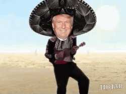 donald-trump-dancing-gif-10