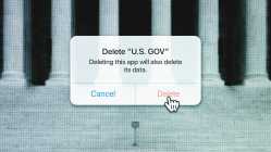 deleteUSgovt