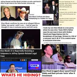 Elon Musk Child Molester