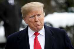 trump-razzies