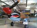 P40-Warhawk