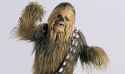 Chewbacca-the-Wookiee-Pet-011[1]