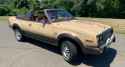 AMC-Eagle-Sundancer-00002-copy-1024x555