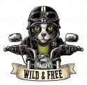 cat-driving-motorcycle-rides-vector-vintage-engraving-dressed-helmet-glasses-hand-drawn-color-isolated-white-149110455