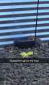Screenshot_20250426_122658_Gallery