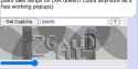 captcha 2gay