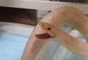 snake