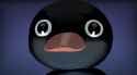 Noot Noot