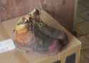 my filthy work boots