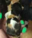 what should i name her~2