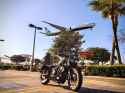 knobby rebel at LAX