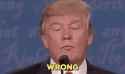 1479206864-donald-trump-wrong