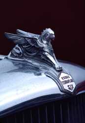 1933-hudson-essex-terraplane-griffin-hood-ornament-carol-leigh