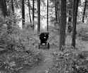 Stroller abandoned in the woods of Coeur d&#039;Alene