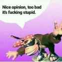 Nice opinion
