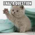 I haz a question