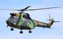 1147px-Puma_-_RIAT_2010_(cropped)