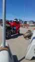 IMG_20250524_125454_505