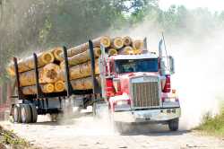 log-truck