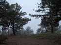PXL_20250604_024620040.NIGHT