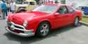 t bird kit