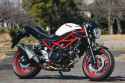 lsb2023_suzuki_sv650-abs_06