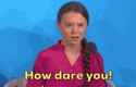 greta-how-dare-you