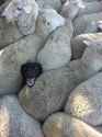 suceeding-despite-having-no-clue-what-is-going-on