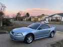 i-got-my-2003-mustang-convertible-v6-wrapped-in-blue-v0-8fev1vfku1sa1