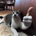 ThumbsCat
