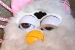 furby