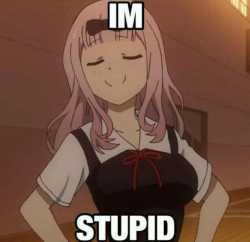 i&#039;m stupid 1627413803049s