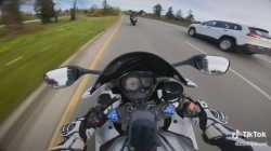 JPEG_ISLAND_SPEEDING_KYLIE