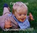 high on chromosomes