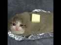25 KB