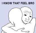 I know that feel, bro.png