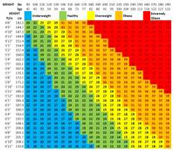 339 KB