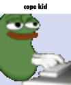 203 KB