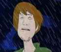 9 KB