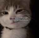 Rule 34 Rule 34 Image